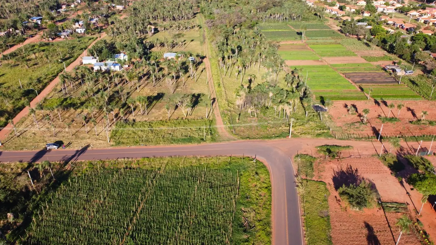 Nuevo Horizonte, J. Augusto Saldívar: foto 1