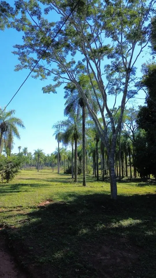 Itauguá Poty, Itauguá: foto 1