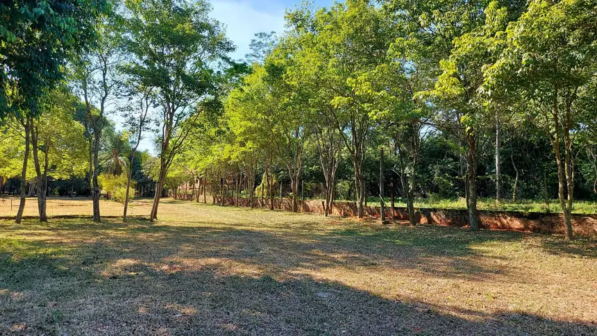 Vista de Jardines de Luque, Luque