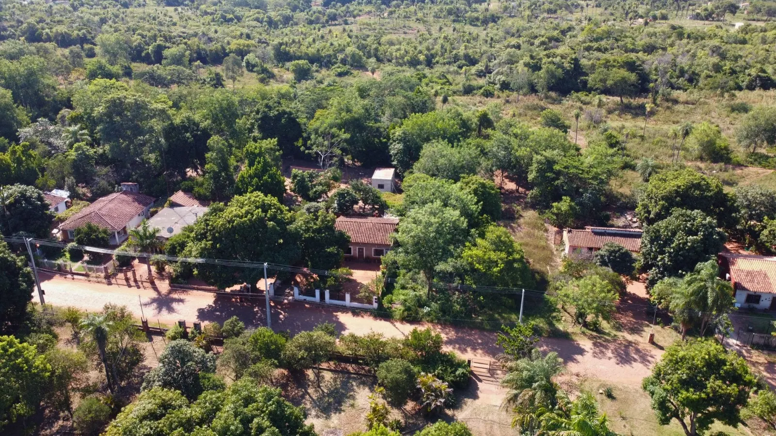 Jardines de Luque, Luque: foto 2