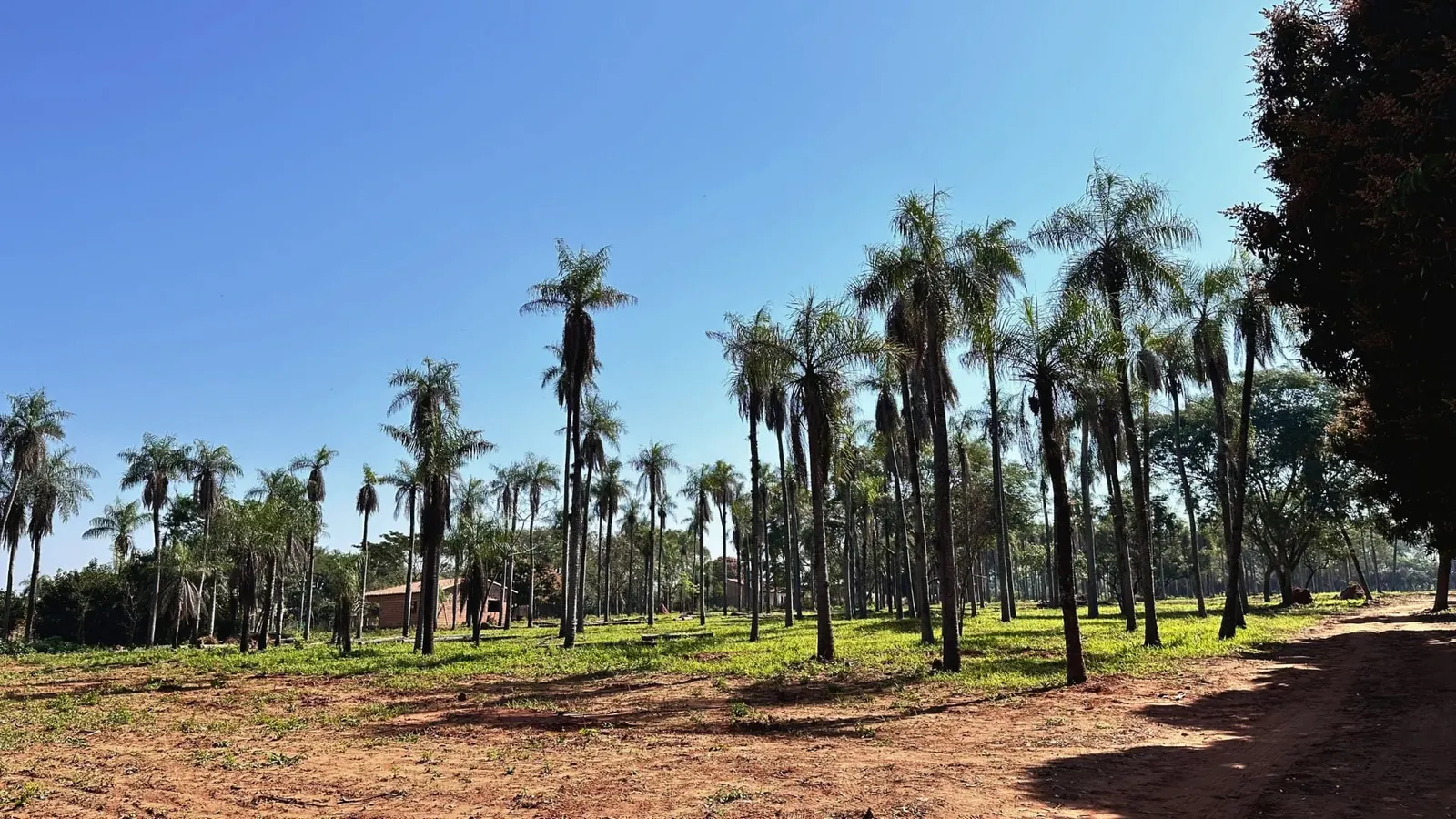 Capiatá Centro, Capiatá: foto 2