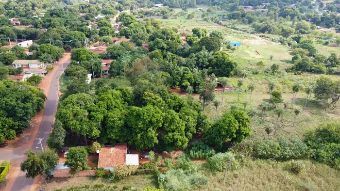 Toledo Cañada, J. Augusto Saldívar: foto 2