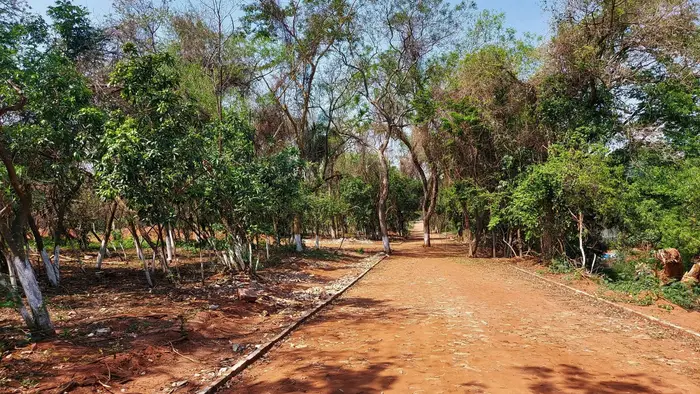Marín Ka'aguy, Luque: foto 2