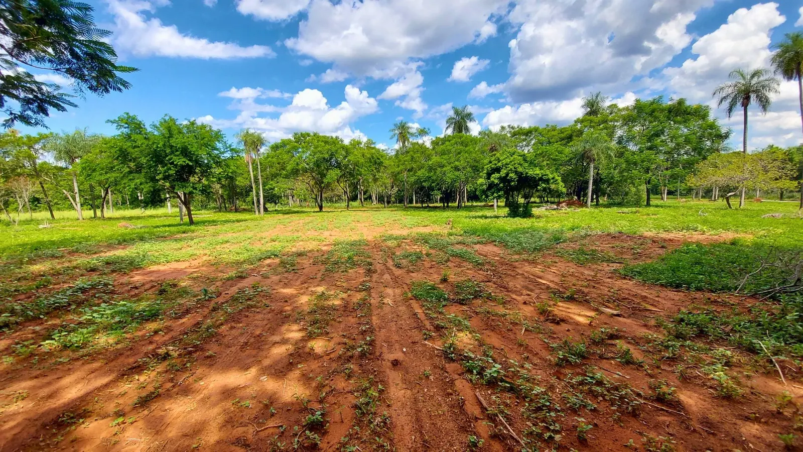 Las Palmeras, Areguá: foto 2