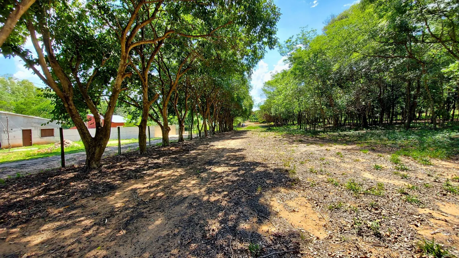 Jardines de Luque, Luque: foto 3