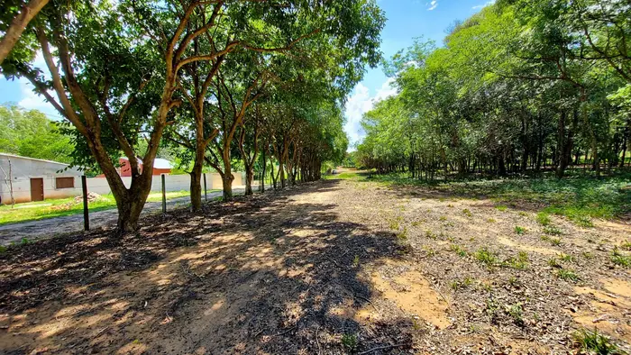 Jardines de Luque, Luque: foto 3