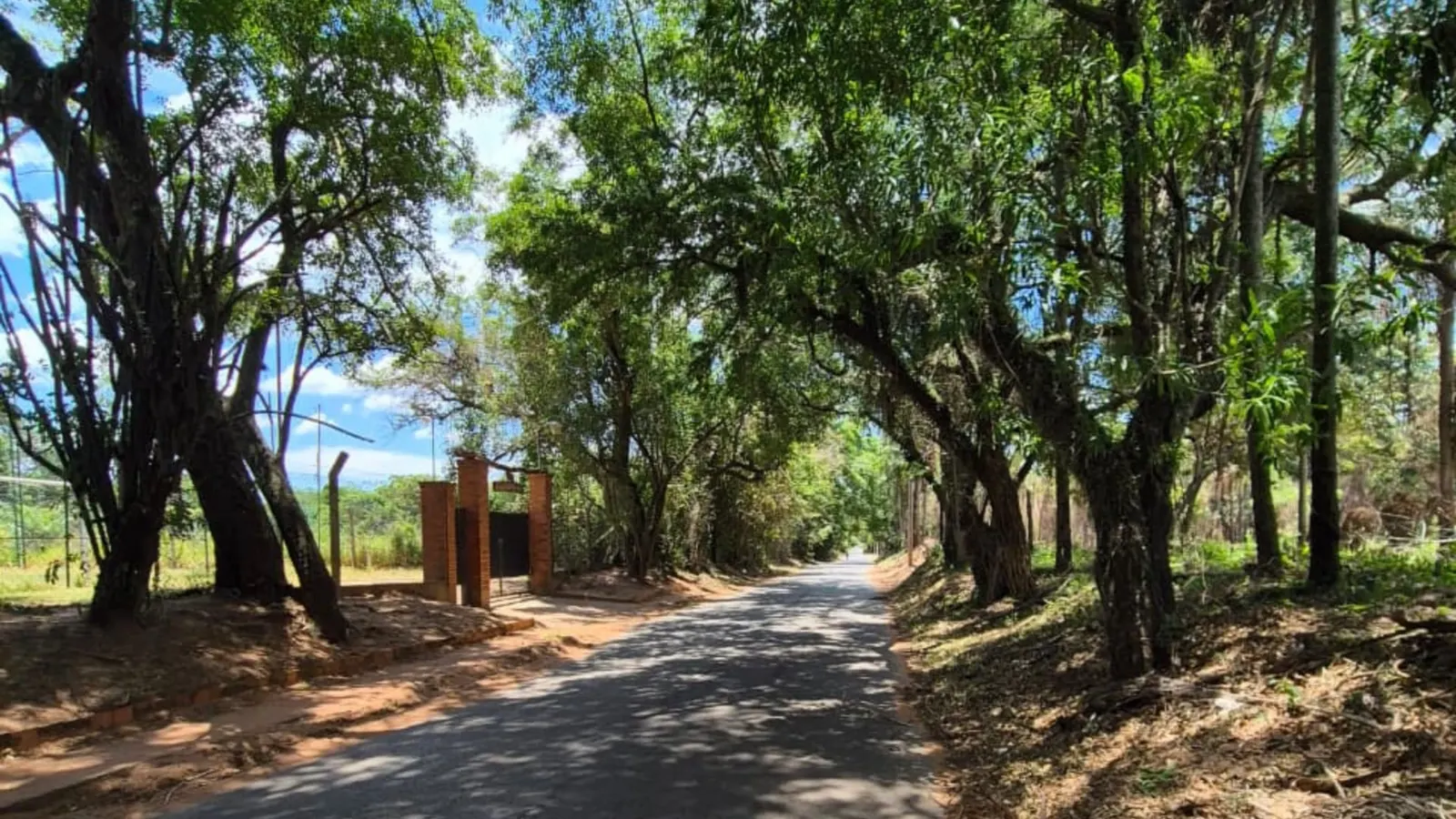 Ypacaraí Centro, Ypacaraí: foto 4