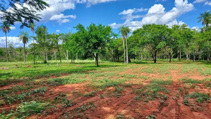 Las Palmeras, Areguá: foto 5