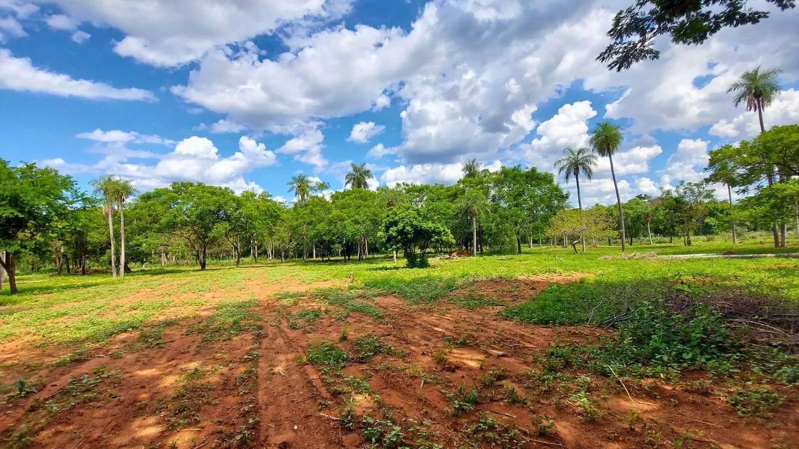 Las Palmeras, Areguá: foto 6